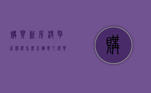 购买新房没拿产权证怎么查备案了没（买了房子没办房产证网上能查到吗?），如何查询未拿产权证的新房备案情况？，如何查询未拿产权证新房的备案情况？详细步骤解答！，如何查询未取得产权证新房的备案情况及详细步骤解答，详细步骤解答，如何查询未取得产权证新房的备案情况？在线查询方法与技巧分享！，如何在线查询未取得产权证新房备案情况？详细步骤与技巧分享！，如何在线查询未取得产权证新房备案情况？详细步骤与技巧全解析！