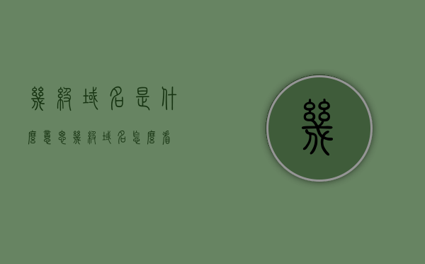 几级域名是什么意思（几级域名怎么看），关于域名的知识解析，什么是几级域名以及如何识别？