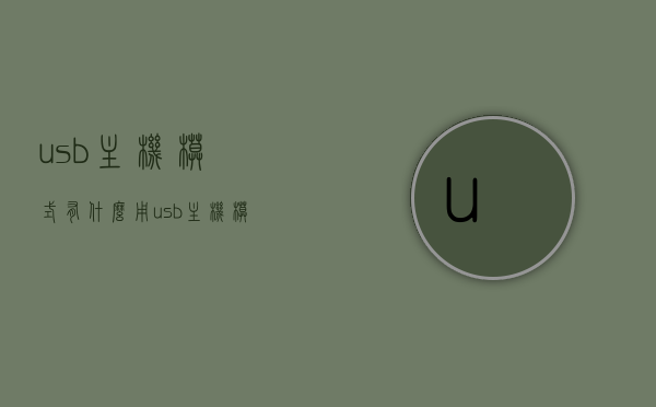 usb主机模式有什么用（usb主机模式和设备模式），USB主机模式的功能及应用，对比设备模式全面解析