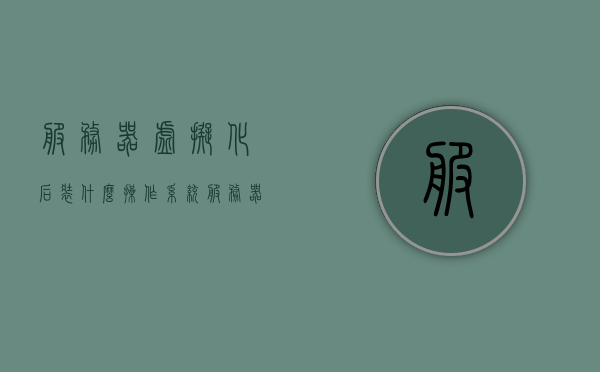 服务器虚拟化后装什么操作系统（服务器虚拟化后装什么操作系统好），服务器虚拟化后最佳操作系统选择指南