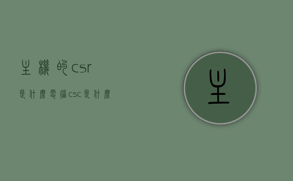 主机的csr是什么（电脑csc是什么意思），主机CSR与电脑CSC含义解析，深入了解其核心概念，主机CSR与电脑CSC含义解析，深入理解核心概念