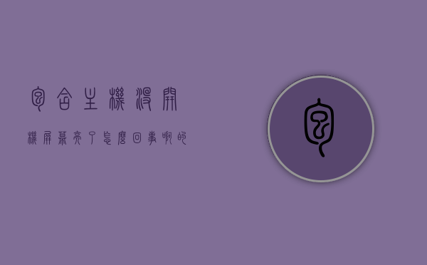包含主机没开机屏幕亮了怎么回事啊的词条，主机未开机屏幕却亮起原因解析，主机未开机屏幕却亮起的原因解析，问题解析与解决方案 第1张