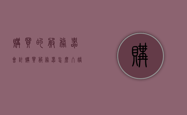 购买的服务器会计（购买服务器怎么入账），购买服务器的会计处理方法与入账指南，购买服务器的会计处理方法与入账指南，从购买到入账的详细步骤解析