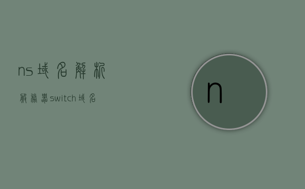 ns域名解析服务器（switch 域名），NS域名解析服务器（Switch域名解析指南）