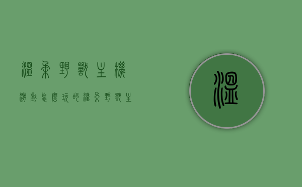 温柔野兽主机游戏怎么玩的（温柔野兽主机游戏怎么玩的好），温柔野兽主机游戏攻略，玩转游戏技巧与策略