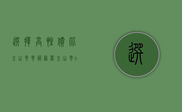 选择高性价比金山云云服务器（金山云src），金山云云服务器的高性价比之选（金山云src）