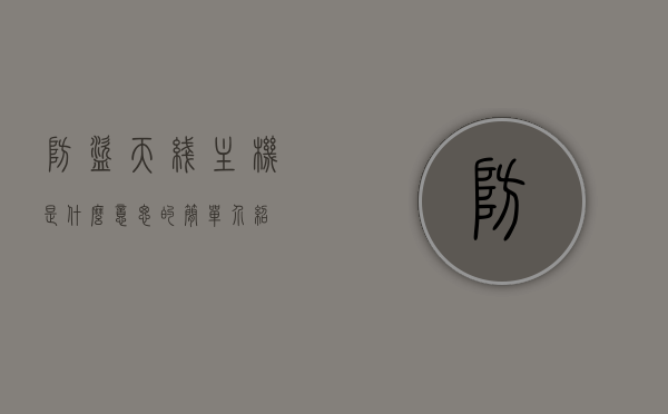 防盗天线主机是什么意思的简单介绍，防盗天线主机的简介与含义解析，防盗天线主机的简介与含义解析，概念介绍及功能概述，防盗天线主机的概念解析与功能概述，简介及含义介绍