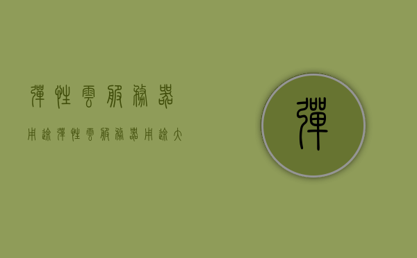 弹性云服务器用途（弹性云服务器用途大吗），弹性云服务器的用途及其重要性探讨