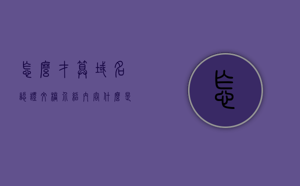 怎么才算域名认证文档介绍内容（什么是域名证书?域名证书有什么用?），域名认证文档介绍，域名证书的定义、作用及重要性