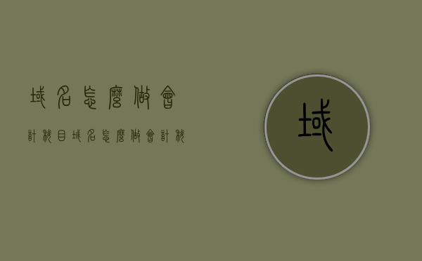 域名怎么做会计科目（域名怎么做会计科目设置），如何设置域名会计科目，域名会计科目的设置方法，域名会计科目的设置方法与操作指南