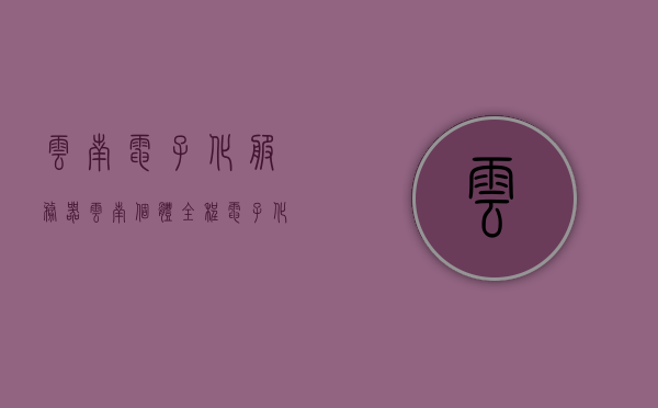 云南电子化服务器（云南个体全程电子化），云南电子化服务器，个体全程电子化服务启动