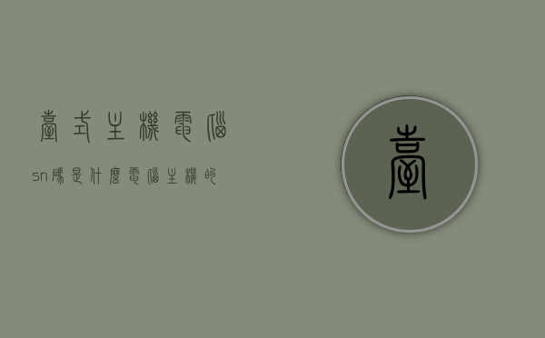 台式主机电脑sn码是什么（电脑主机的sn码怎么看），台式电脑主机SN码详解，如何查看电脑主机的SN码？，台式电脑主机SN码详解，如何查找与解读SN码？