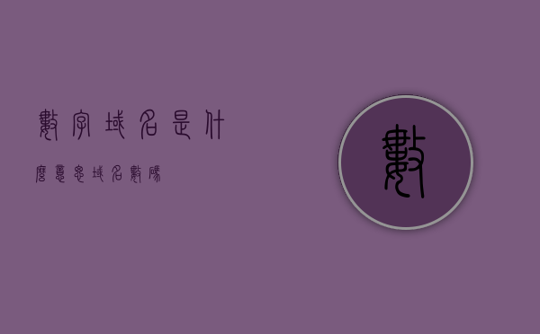 数字域名是什么意思（域名数码），数字域名的含义解析（域名数码初探），数字域名的含义解析，探究域名数码的奥秘（域名数码初探），数字域名的含义解析与奥秘初探（域名数码系列研究）