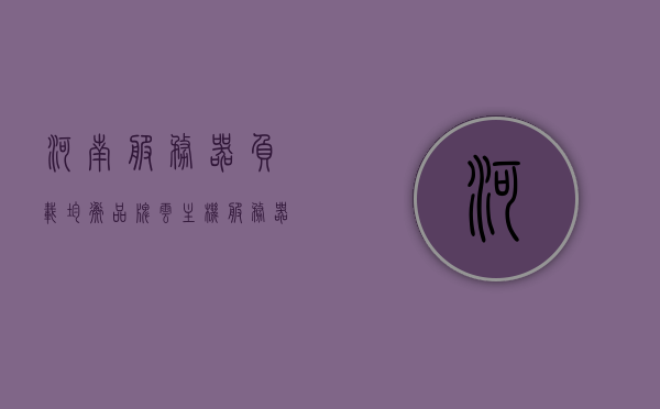 河南服务器负载均衡品牌云主机（服务器负载均衡是什么意思），河南服务器负载均衡品牌云主机解析，什么是服务器负载均衡？