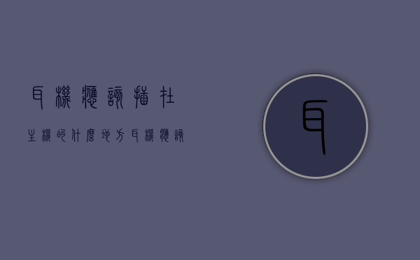 耳机应该插在主机的什么地方（耳机应该插在主机的什么地方呢），耳机应该插在哪种主机的哪个部位？详细解析耳机插口位置！，详细解析，耳机插口位置及主机适配性指南！，详细解析，耳机插口位置及主机适配性指南！助你找到最佳耳机插入位置！
