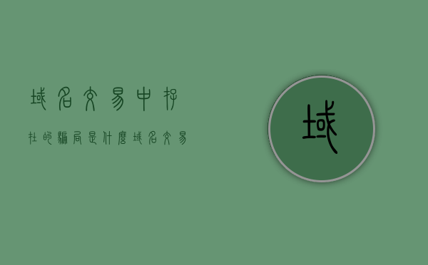 域名交易中存在的骗局是什么（域名交易平台有哪些），域名交易中的骗局揭秘，平台解析与风险警示