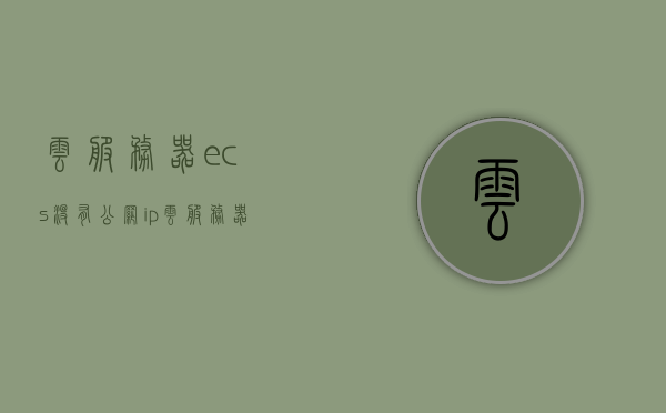 云服务器ecs没有公网ip（云服务器+家庭电脑无公网ip部署pinode节点教程），云服务器ECS无公网IP下的Pinode节点部署教程，云服务器ECS无公网IP下的Pinode节点部署指南，教程分享与操作指南，云服务器ECS无公网IP下的Pinode节点部署教程与操作指南分享，云服务器ECS无公网IP环境下Pinode节点部署教程与操作指南分享，云服务器ECS无公网IP环境下Pinode节点部署教程与操作指南详解，云服务器ECS无公网IP环境下Pinode节点部署详解与操作指南分享