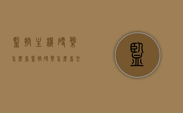 监控主机硬盘怎么看（监控硬盘怎么看型号），监控主机硬盘查看指南，如何识别型号与状态？，监控主机硬盘查看指南，如何识别型号与状态？