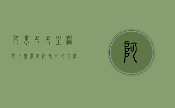 阿里巴巴主机是什么意思（阿里巴巴的机房在哪里），阿里巴巴主机解析，定义、功能与机房所在地揭秘，阿里巴巴主机解析，定义、功能及机房所在地揭秘
