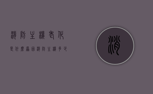 消防主机老化是什么原因（消防主机多少年更换），消防主机老化原因及更换周期探讨，消防主机老化原因与更换周期探讨，设备寿命及影响因素分析，消防主机老化原因解析与更换周期探讨，设备寿命及影响因素分析，消防主机老化原因解析与更换周期探讨，设备寿命及影响因素详解