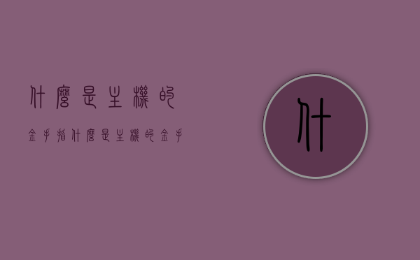 什么是主机的金手指（什么是主机的金手指键盘），主机金手指，解析主机金手指与键盘功能特性，解析主机金手指与键盘特性，主机金手指键盘详解，主机金手指键盘详解，功能特性与键盘特性全面解析