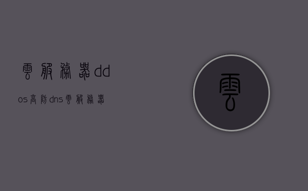 云服务器ddos高防dns（云服务器防攻击），云服务器防攻击利器，高防DNS助力云服务器抵御DDoS攻击，高防DNS助力云服务器抵御DDoS攻击，防御利器解析