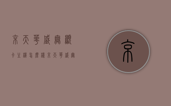 京天华盛无显卡主机怎么样（京天华盛无显卡主机怎么样设置），京天华盛无显卡主机评测及设置指南，京天华盛无显卡主机评测与设置指南，性能解析及使用指南，京天华盛无显卡主机评测及设置使用指南，性能解析与使用体验分享