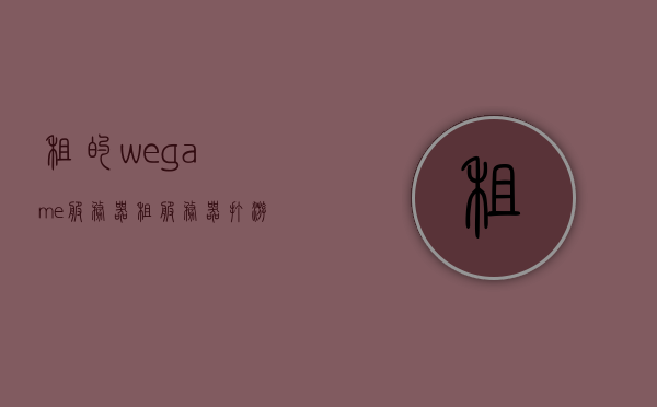 租的wegame服务器（租服务器打游戏），租用WeGame服务器，游戏新体验