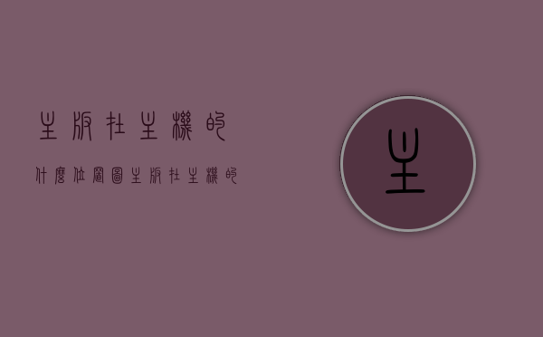 主板在主机的什么位置图（主板在主机的什么位置图解视频），主板位置解析，主板在主机内的定位及图解视频介绍，主板位置深度解析，图解视频带你了解主板在主机内的定位与布局介绍，主板在主机内的定位与布局深度解析，图解视频带你探索主板位置及布局介绍