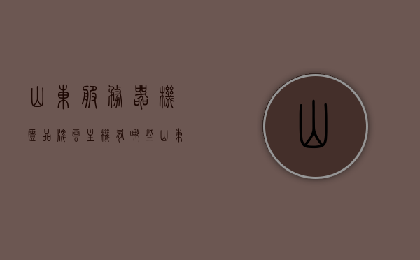 山东服务器机柜品牌云主机有哪些（山东服务器地址），山东服务器机柜品牌及云主机介绍，探寻山东服务器地址