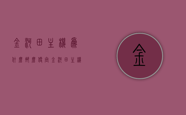 金河田主机为什么那么便宜（金河田主机安装图解），金河田主机价格优势揭秘，安装图解与实惠原因探究，金河田主机价格优势揭秘，为何如此实惠？安装图解与实惠原因探究。，金河田主机价格优势揭秘，为何如此实惠？安装图解与实惠原因深度探究。，金河田主机价格优势揭秘，为何如此实惠？深度探究与安装图解