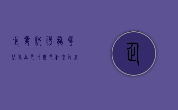 企业级神龙云服务器是什么是什么（阿里云神龙服务器价格），阿里云神龙云服务器解析与价格概览