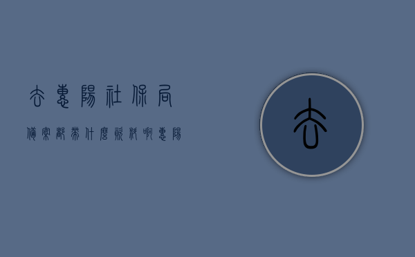 去惠阳社保局备案都带什么资料啊（惠阳区办理社保生育备案需要什么东西），惠阳社保局备案所需资料全解析，生育备案所需材料一览，惠阳社保局备案及生育备案所需资料全解析，惠阳社保局备案及生育备案所需资料全解析与指南