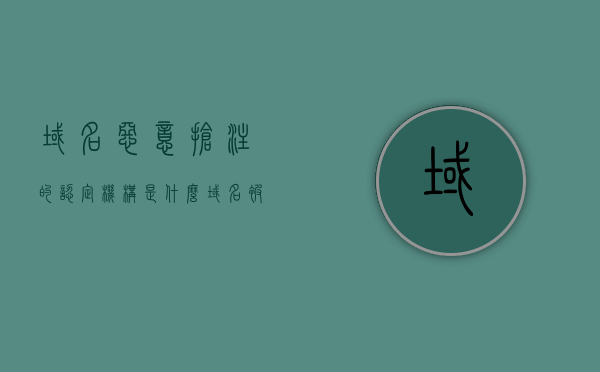 域名恶意抢注的认定机构是什么（域名被抢注的案例分析），域名恶意抢注认定机构及案例分析，探究域名抢注的认定与处理机制