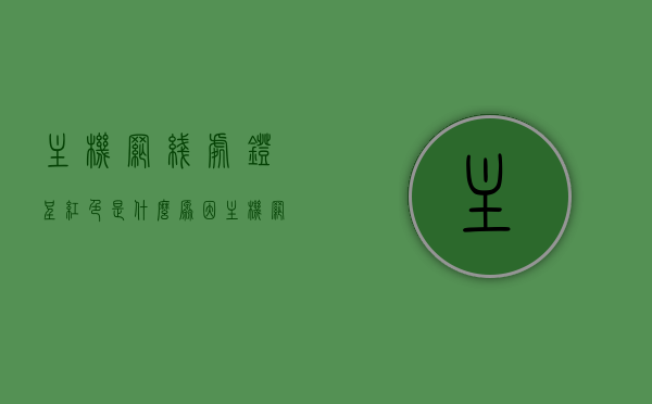 主机网线处灯呈红色是什么原因（主机网线接口处常亮红灯），主机网线接口红灯常亮原因解析，网线处灯呈红色的可能原因与解决方案，主机网线接口红灯常亮原因解析，红色灯光背后的原因与解决方案，主机网线接口红灯常亮原因解析及解决方案，红色灯光背后的原因探讨，主机网线接口红灯常亮原因解析与解决方案，红色灯光背后的原因及修复方法探讨