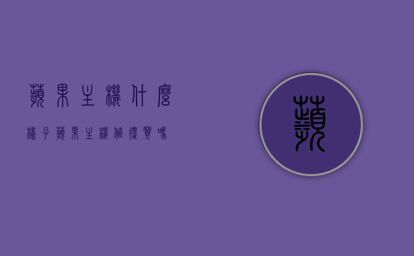 苹果主机什么样子（苹果主机值得买吗），苹果主机概览，外观特征及其购买价值探讨，苹果主机外观特征详解，购买价值深度剖析，苹果主机深度解析，外观特征、购买价值及是否值得购买探讨，苹果主机深度解析，外观特征、购买价值与是否值得购买探讨