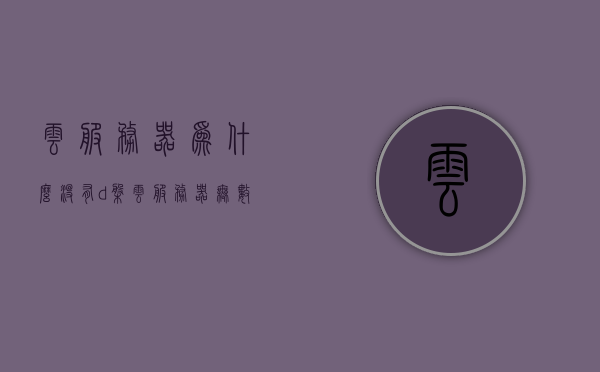 云服务器为什么没有d盘（云服务器无数据盘是什么意思），云服务器为何没有D盘，解析无数据盘的含义，关于云服务器为何没有D盘及解析无数据盘含义的探讨，关于云服务器为何没有D盘及无数据盘含义的解析与探讨，深度解析云存储架构中的奥秘与细节差异