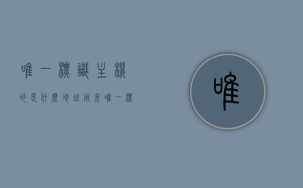 唯一标识主机的是什么地址（用来唯一标识主机的一串由字母），唯一标识主机的字母串地址解析，唯一标识主机的字母串地址解析，识别主机身份的专属标识地址介绍