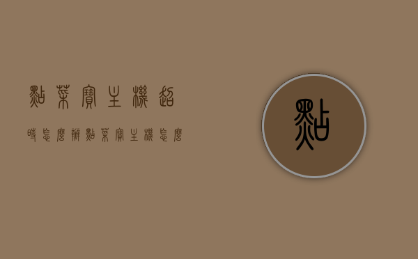 点菜宝主机超时怎么办（点菜宝主机怎么设置），点菜宝主机超时解决方案及设置指南，点菜宝主机超时解决方案与设置指南，超时怎么办及设置方法详解，点菜宝主机超时解决方案与设置详解，操作指南及故障排除方法