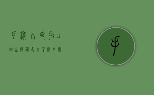 手机不支持usb主机模式怎么办（手机不允许usb调试），手机无法使用USB主机模式及USB调试功能解决方法，手机无法使用USB主机模式及调试功能解决方法攻略，解决手机无法使用USB主机模式及调试功能的方法与攻略（不支持USB调试时怎么办），解决手机无法使用USB主机模式及调试功能的方法指南（不支持USB调试时应对攻略）