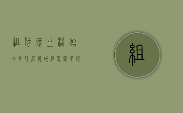 组装机主机适合买什么样的（组装机主机适合买什么样的鼠标），组装机主机选购指南，如何选择最佳主机及鼠标搭配？