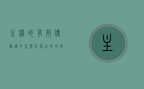 主机的有效传输速率怎么计算出来的呢（计算机网络有效数据传输速率），计算机网络中主机有效数据传输速率的计算方法，计算机网络中主机有效数据传输速率的计算方法解析