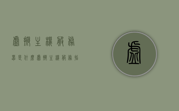 虚拟主机服务器是什么（虚拟主机服务指的是），虚拟主机服务器的概述与定义，什么是虚拟主机服务？