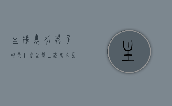 主机里有带子的是什么型号（主机里面圆的东西是什么），主机内带子状物解析，型号及内部圆物揭秘，主机内部带子状物解析，揭秘型号及圆物真相