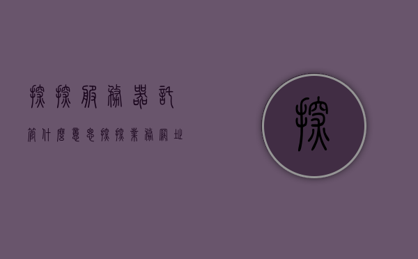探探服务器托管什么意思（探探业务网址），探探服务器托管解析，业务网址下的服务托管实践