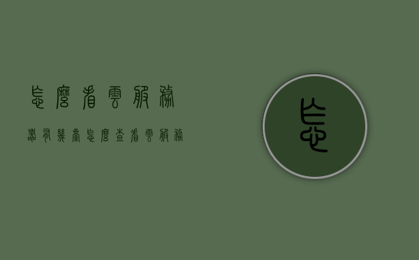 怎么看云服务器有几台（怎么查看云服务器ip），如何查看云服务器数量及IP地址？