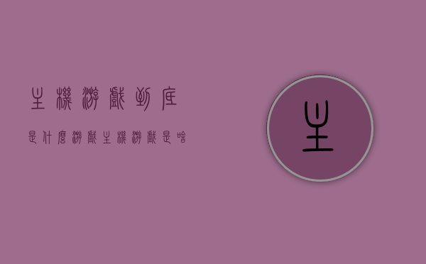 主机游戏到底是什么游戏（主机游戏是啥），主机游戏的定义与概述，探索主机游戏的本质与特点