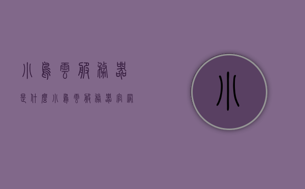 小鸟云服务器是什么（小鸟云服务器官网），小鸟云服务器简介及其官网功能概述
