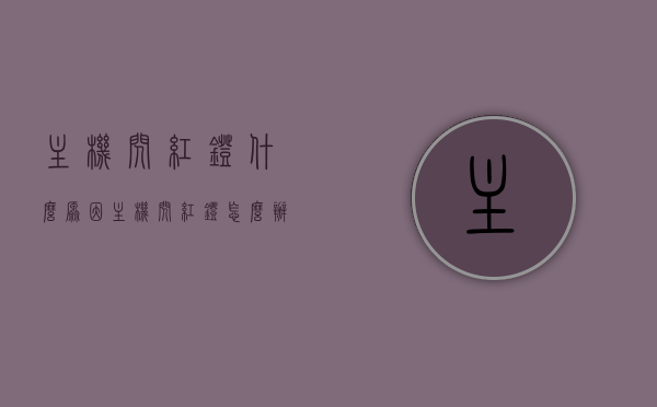 主机闪红灯什么原因（主机闪红灯怎么办），主机闪红灯原因及解决方法解析，主机闪红灯原因解析与解决方法指南，主机闪红灯解析，原因及解决方法的指南，主机闪红灯解析，原因、解决方法与指南 第1张