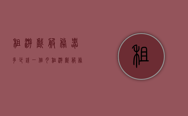 租游戏服务器多少钱一个月（租游戏服务器一年多少钱），关于游戏服务器租赁的费用，每月及每年价格解析